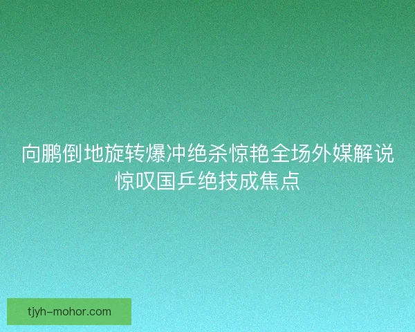 向鹏倒地旋转爆冲绝杀惊艳全场外媒解说惊叹国乒绝技成焦点